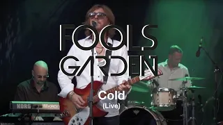 Fools Garden & SWDKO - Cold (Live)