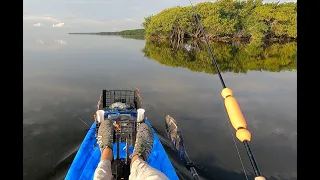 Miami Kayak Fishing at Deering Point - What a Beautiful Morning! Even Though I Lost a Big Tarpon....