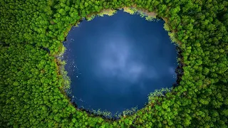 Тамбов.Таинственный лес и Святовское озеро.Tambov region.Mysterious forest and Svyatovo Lake.