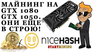 Майнинг на GTX 1080 и GTX 1050. Они еще в строю! NiceHash