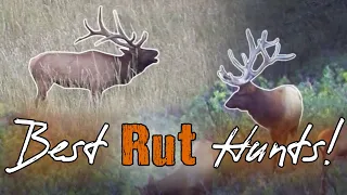 4 CRAZY Elk Hunts! Hunting the Rut Peak with Guy Eastman