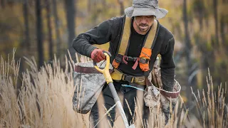 Planting Trees in Canada: ONE MILLION trees planted | One Tree Planted