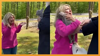 NEW PUPPY SURPRISE COMPILATION 2024 | WHOLESOME SURPRISE MOMENTS