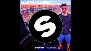 Forbidden Voices- Martin Garrix