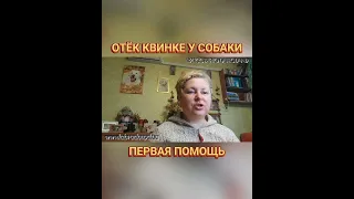 🐕📝🐾 Отёк квинке у собаки: первая помощь