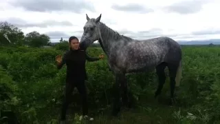 How to  climb on your horse :D (специально для оли!)