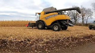 Уборка кукурузы убираем Демо-поле 2021.