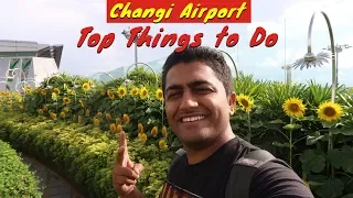 Top Things to do at Changi Airport Singapore | 5 Hours Transit