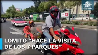 “Frijol”, el perrito biker que recorre la Ciudad de México