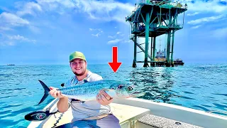 TROLLING BIG LURES! In the GULF of MEXICO for AGGRESSIVE FISH! (Catch, Clean, Cook)