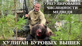 Охота на медведя 2022 @Vjzkii