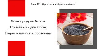 Підготовка до ЗНО 2021 з української мови.Тема 12. Фразеологія. Фразеологізми.