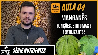 SÉRIE NUTRIENTES: MANGANÊS funções, sintomas de deficiência e fertilizantes para correção