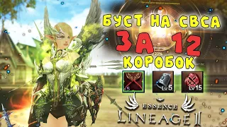 12 КОРОБОК НА БУСТ ПЕРСОНАЖА СВС и ЗАТОЧКА ИТЕМОВ lineage 2 essence crusader