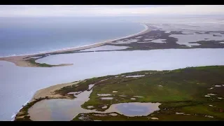 Camargue, France (English version)