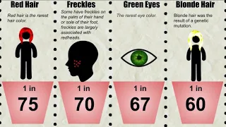 Probability Comparison: Genetics