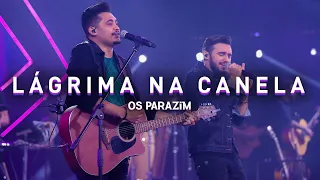 Os Parazim - Lágrima Na Canela