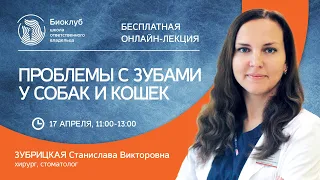 ПРОБЛЕМЫ С ЗУБАМИ У СОБАК И КОШЕК