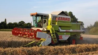 Claas Dominator 108sl maxi - tarwe dorsen