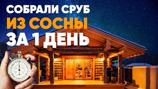 СОБРАЛИ СРУБ ИЗ СОСНЫ ЗА 1 ДЕНЬ