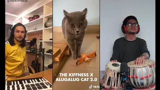 Alugalug Cat X THE KIFFNESS | Tabla Remix | TABLAWESOME | THE KIFFNESS