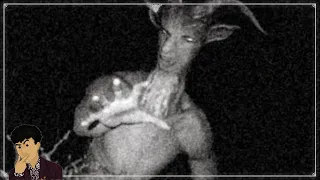 Le Goatman les attaque : la légende urbaine qui terrorise internet (témoignage paranormal)