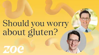 Should you worry about gluten? | Dr Will Bulsiewicz