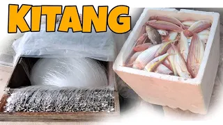 Kitang Fishing Jackpot sa Huli | Traditional Fishing