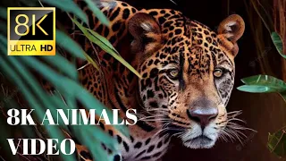 8K ANIMALS ULTRA HD  The Best of PLANET EARTH 8K ULTRA HD Most Beautiful ANIMALS TO EUROPE