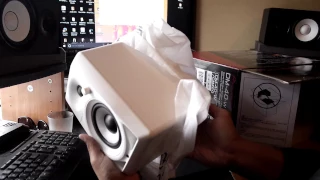 Livesosa reviews Pioneer Snow Edition DM 40's -Sound Test- unboxing