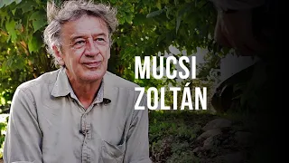 Laikus - Mucsi Zoltán: Csípős kérdések