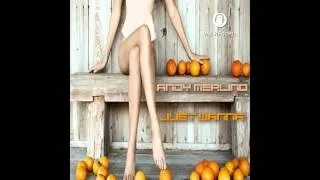 Andy Merlino -  Just Wanna -    Vnl Record