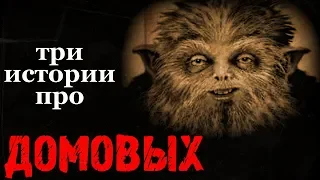 Истории на ночь (3в1): 1.Видела домового, 2.Не берите домового на слабо, 3.Девки, мойте посуду!