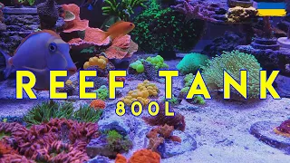 reef tank 800 | морський акваріум 800л |