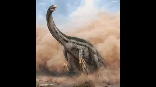 Therizinosaurus Of evolution