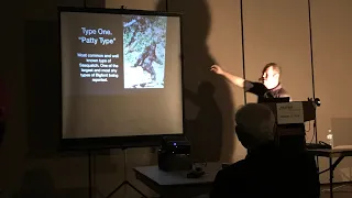 Ten types of Sasquatch presentation. OC Mufon-Part 1