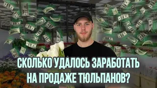 Продажа Тюльпанов на 8 марта! СКОЛЬКО УДАЛОСЬ ЗАРАБОТАТЬ?