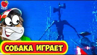 СИРЕНОГОЛОВЫЙ ПРОТИВ МАКСА! СОБАКА ИГРАЕТ! (Siren Head Camping Sirenhead) Валеришка Макс