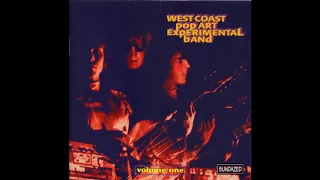 The West Coast Pop Art Experimental Band - Insanity (1966)