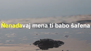 Śaľena ja bula, že  ja ce ľubila -šarišská ľudová pesnička-hudba bez spevu - text-slova pre  karaoke