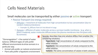 Passive Transport and Tonicity