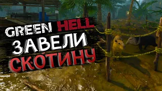 Осваиваем животноводство и приручаем зверей | Обновление | Green Hell #4