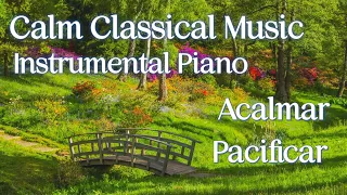 Calm Classical Music | Instrumental Piano | Calm and pacify