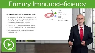 Primary Immunodeficiency – Immunology | Lecturio