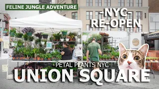 Union Square Farmers Market | NYC Plant Shop Tour Guide