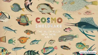 Hocking - Cosmo Sheldrake - 8D Audio