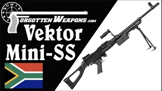 Vektor Mini-SS: South Africa's Answer to the FN Minimi