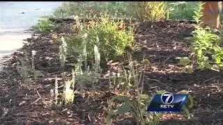 Ralston Eagle Scout project honors veterans