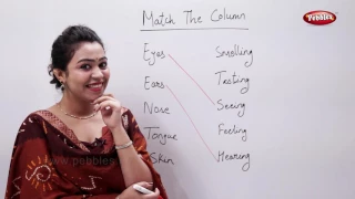 CBSE Class 3 Science : The Human Body | Match The Column | Science Activities For Kids