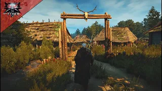 Geralt Walking Through Velen - The Witcher 3 - Music & Ambience